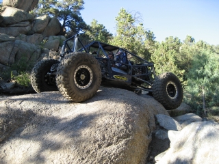 BV Carnage - Anthony in the Buggy